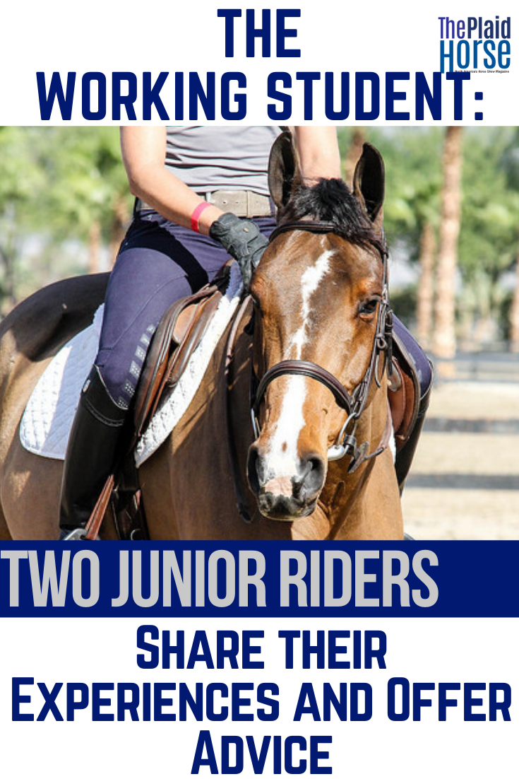 The Working Student Two Junior Riders Share their Experiences and