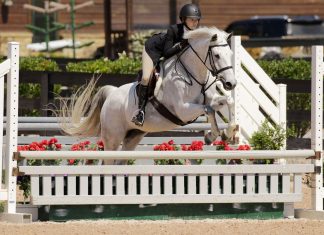 Returning to Our (New) Horse Show Normal