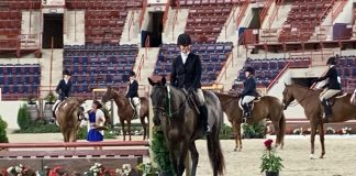 A Timid Amateur and the OTTB That Opened Up Her World