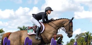 Georgina Bloomberg’s Manhattan is the Son of Two of Her Favorite Mounts