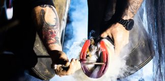 The Three Constitutions of a Great Farrier