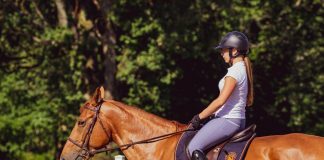 Horse Riding A Powerful Aid For People With Disabilities