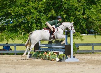 Making Lemonade from Lemons: Bettering Our Pony During the Pandemic