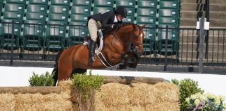 Kelley Farmer Breezes to Bookend Podium in $40,000 USHJA International Hunter Derby