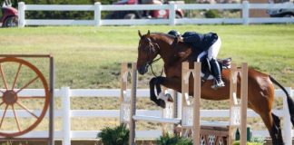 Michael Dennehy and Double Down Earn Top Honors in the USHJA National Hunter Derby