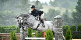 Photo Gallery: Blame it on the Rain