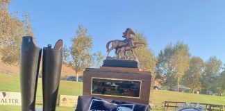 CPHA Foundation Equitation Championship Results
