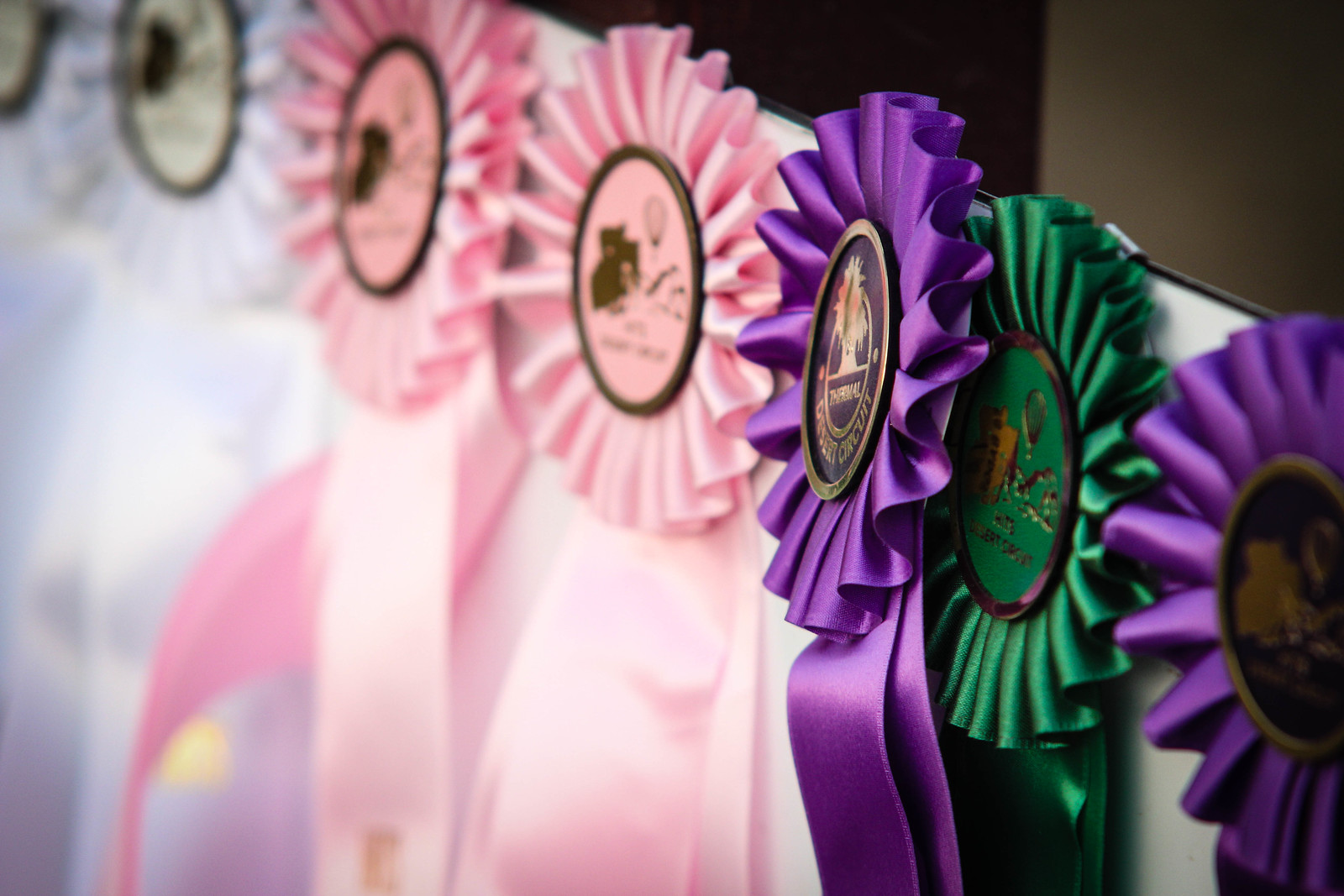 Sea of Green Ribbons The Plaid Horse Magazine