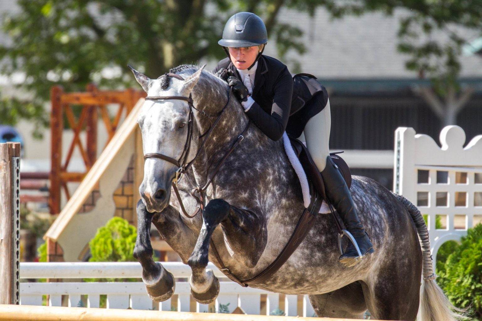 What Determines How You Place in the Hunters? The Plaid Horse Magazine