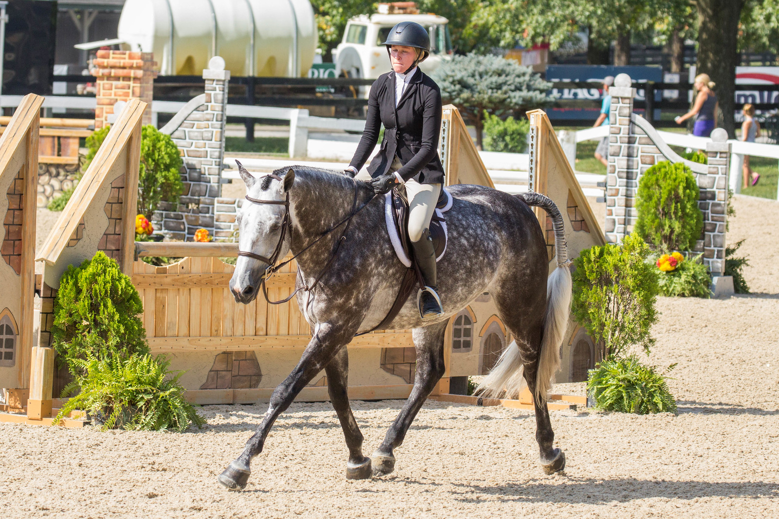 What Determines How You Place in the Hunters? The Plaid Horse Magazine