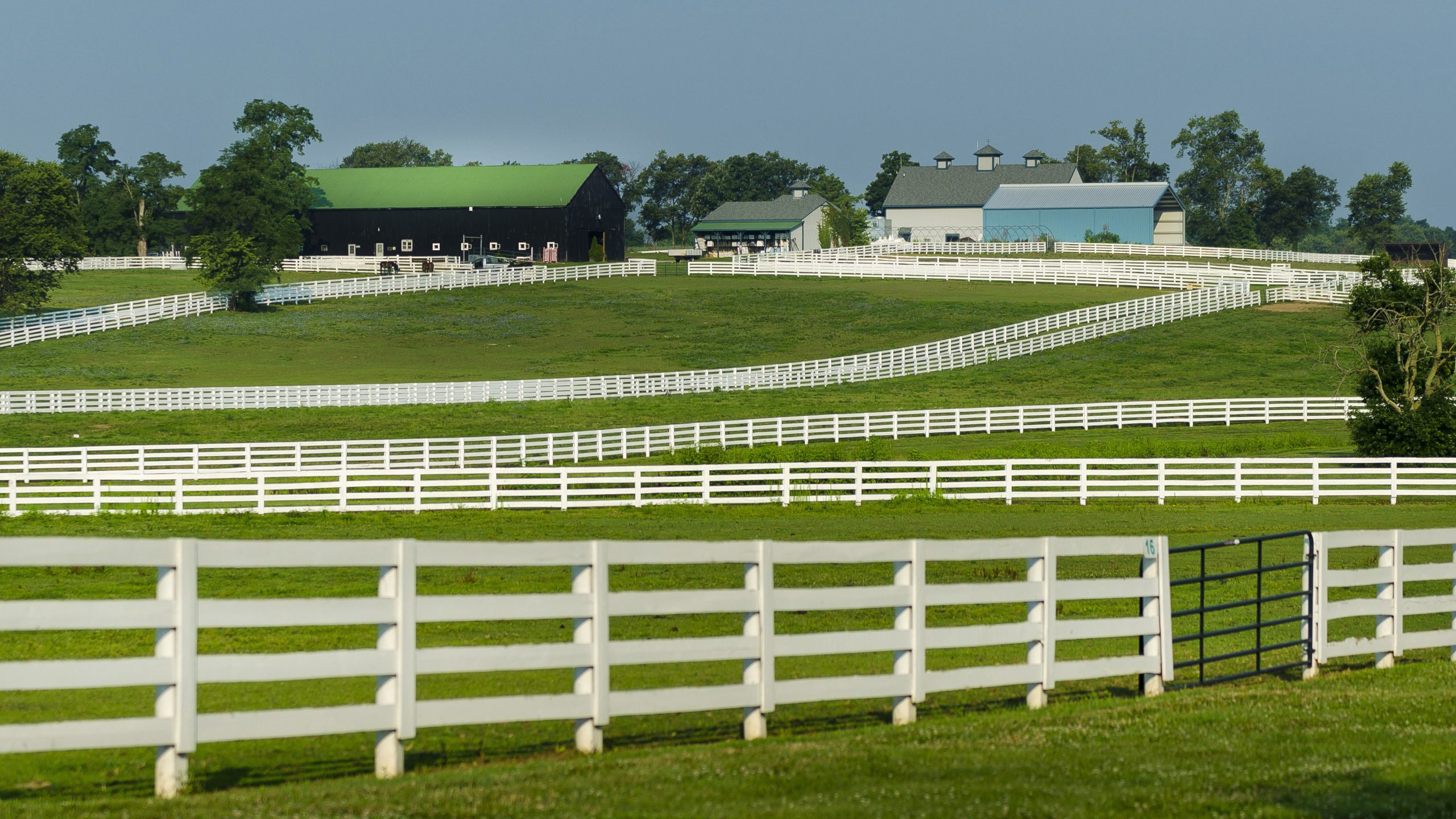 Pasture Renovations Will Help Horse Farm Implement Rotational Grazing The Plaid Horse Magazine