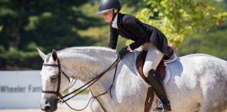 Equestrian Advice to Ride (and Live) By
