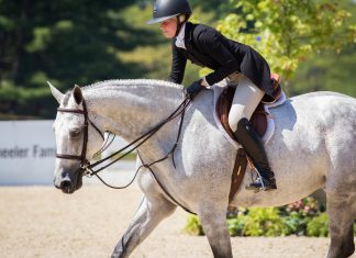Equestrian Advice to Ride (and Live) By