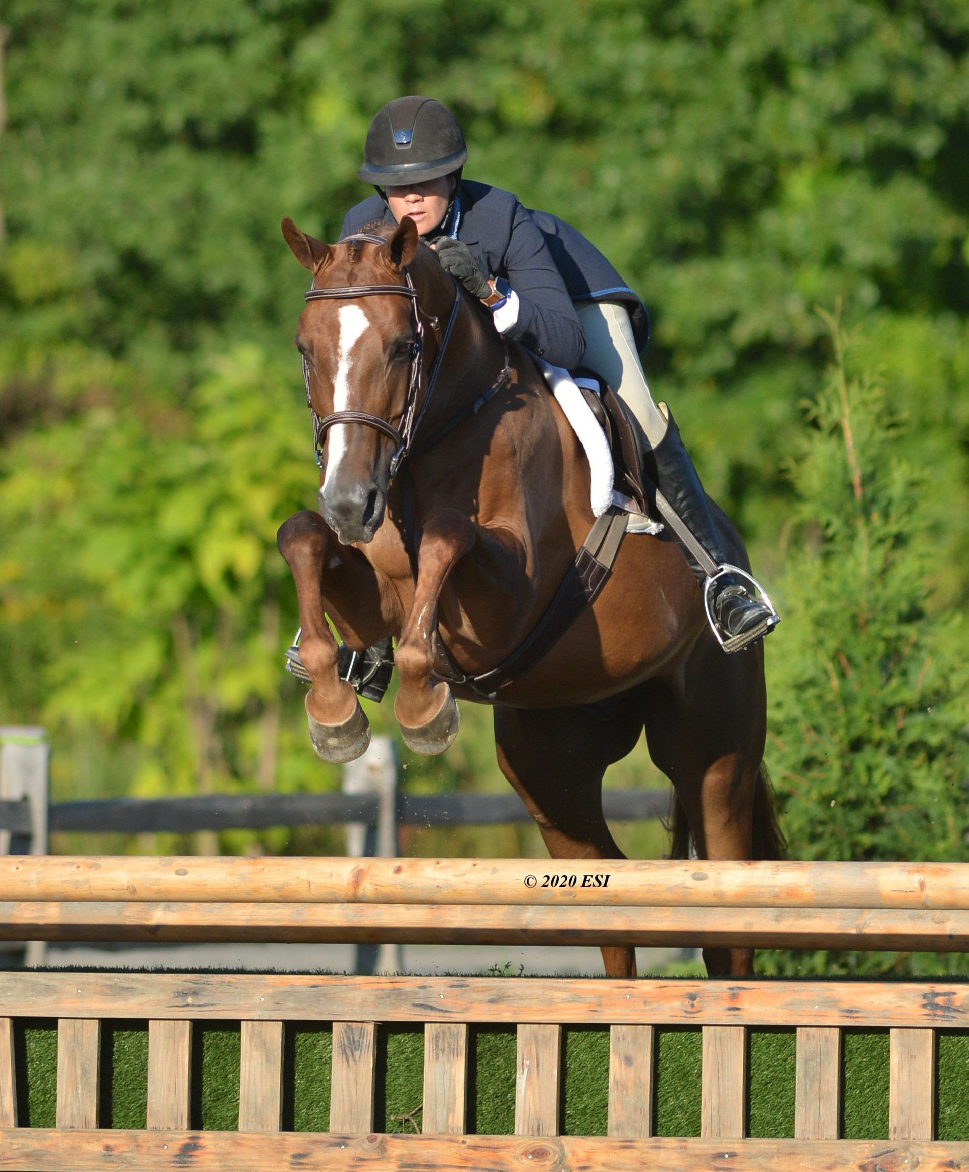 HITS Hosts BIGGEST Hunter & Jumper Classes in the World This Year The Plaid Horse Magazine