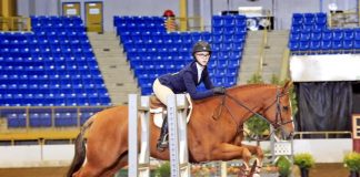 Mothering a Horse-Crazy Child: When It All Comes Together