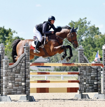 Starting Young Horses the Jayne Way: From Bloodlines to Five-Year-Old Classes