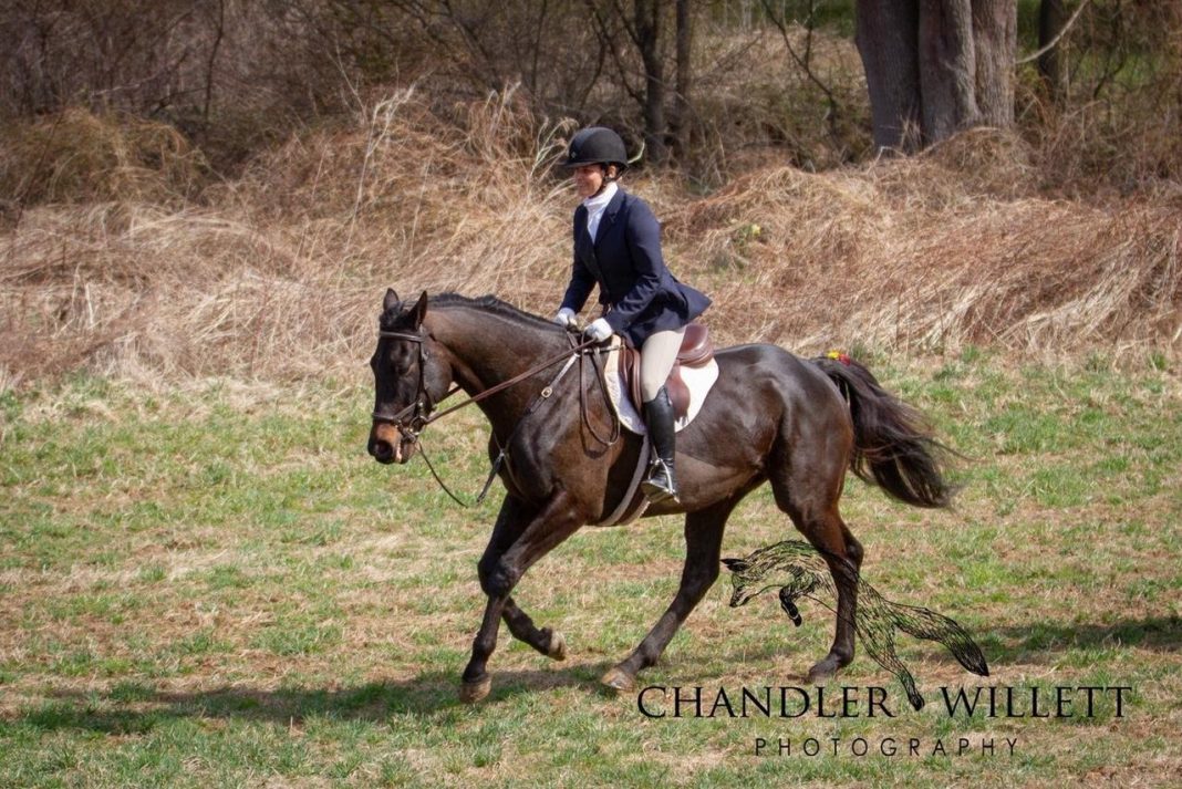 A Thoroughbred’s Subtle Presentations of Kissing Spine (and how I got