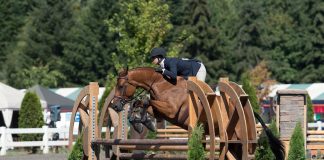 Partridge Pilots Wonderland to Win 2020 USHJA Green Hunter Incentive Northwest Championship