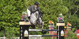 Michael Tokaruk Takes Over the Grand Prix Ring for Second Week in a Row at Brownland Farm
