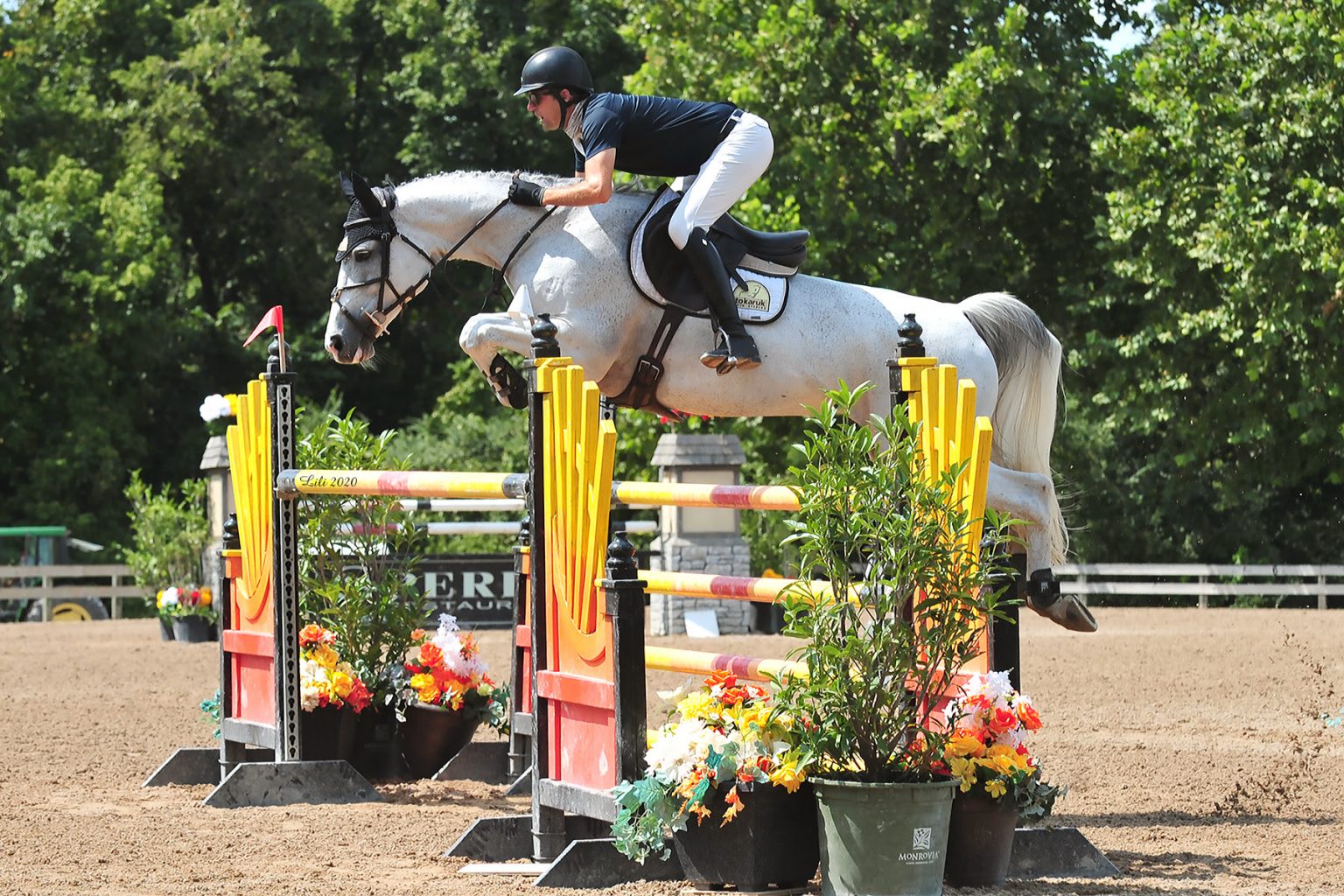 Michael Tokaruk Takes Over the Grand Prix Ring for Second Week in a Row