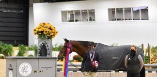 Sophia Mitchell and Chevito Capture Grand Junior Hunter Championship at Capital Challenge