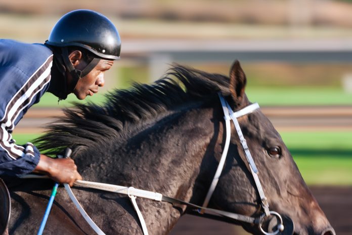 At a Gallop