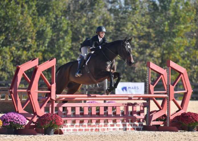 wihs-horsemanship2
