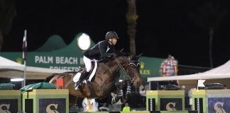 Kent Farrington Leads the Way with Orafina at 70th Annual South Florida Hunter Jumper Association Charity Horse Show