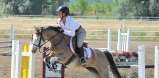 Every Horse Has Something to Teach Us