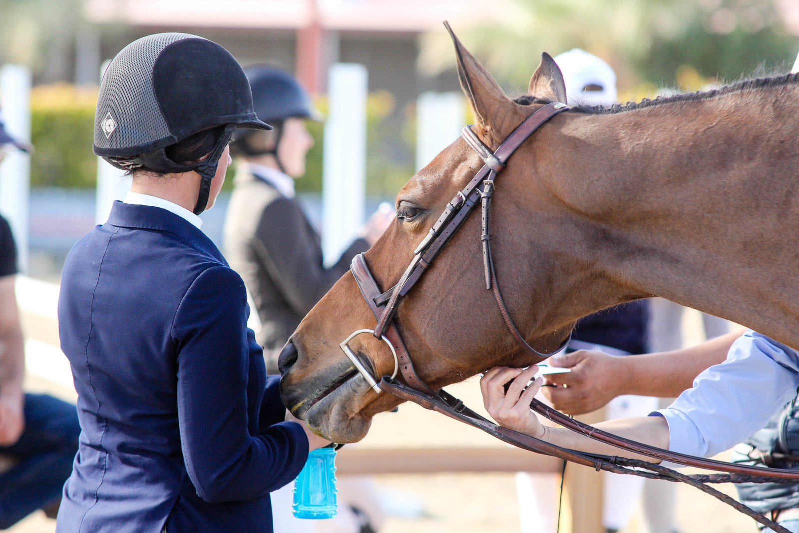 Helmet Research Fundraising Hits Milestone … Research will Begin The