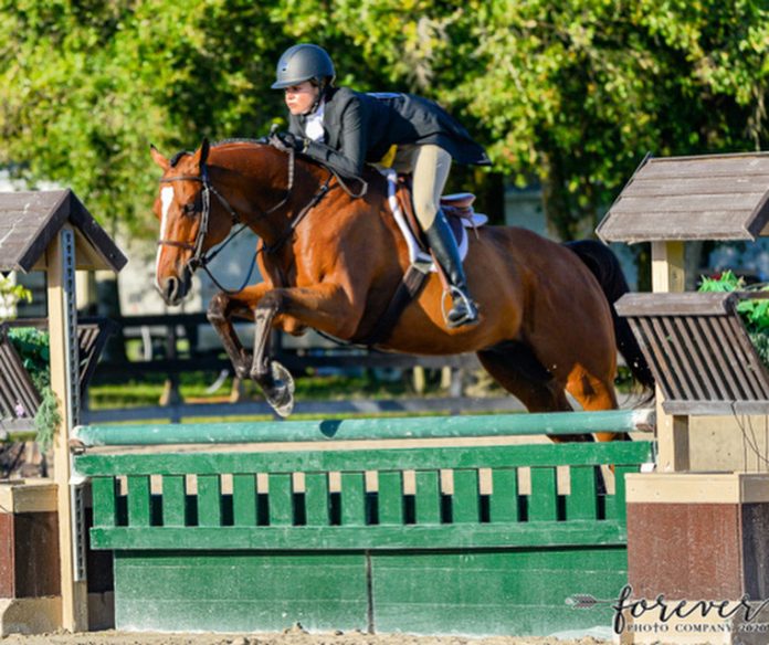 Retraining the OTTB Hunter with Caitlin Maloney The Plaid Horse Magazine