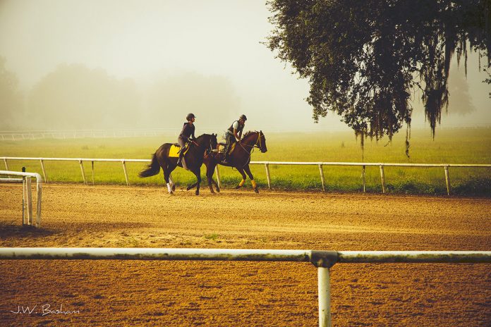 ottbhunter4