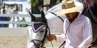 It Matters Who You Horse Show With