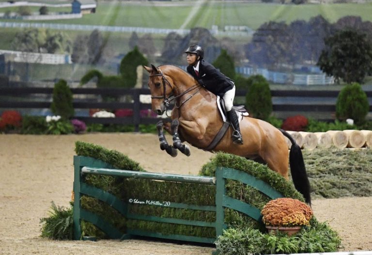 A Quick Questionnaire with Rising Equitation Star Xavier Gomez The