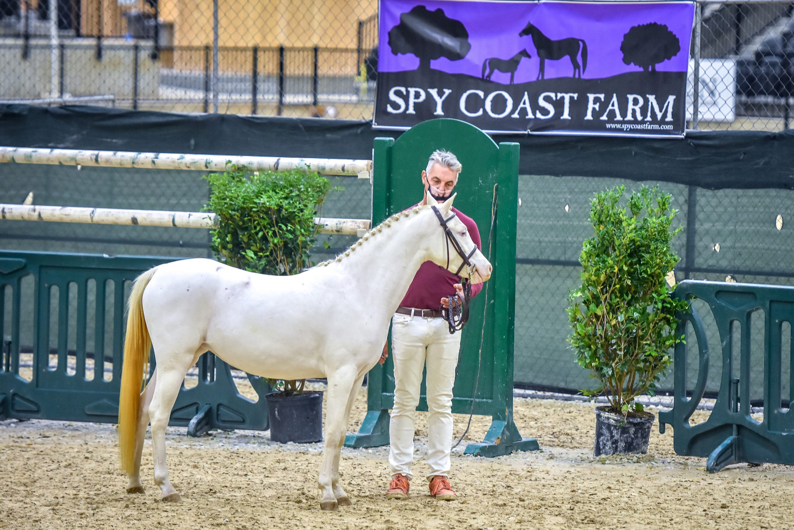 Recap 2020 Nutrena® Young Horse Show Finals presented by Spy Coast
