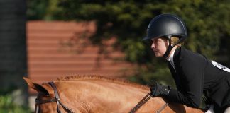 Taylor Landstrom and Francesca Guidi Top the EMO Insurance USHJA 3’3” Jumping Seat Medal