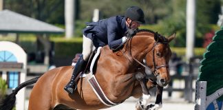 Scott Stewart Dominates Thursday Professional Hunters at WEF, Rides Catch Me to 100 in High Performance Hunter Stake
