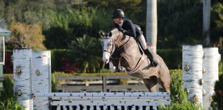 Cooper Dean and Figure of Speech Dominate the Young Hunter 2’9” Five and Under