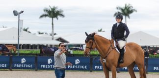 Four Flatwork Exercises to Increase Rideability from Max Amaya