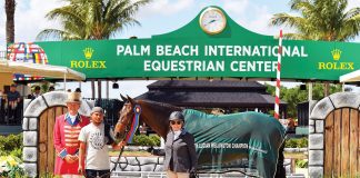 Karen Lucian: Reaching New Heights