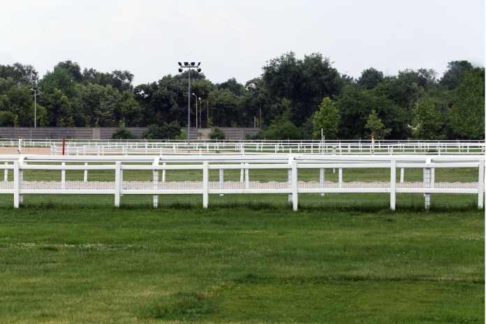 cheltenham