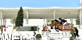 Katia Manuel-Adams and ERP van www.olland.biz take the win in the $7,500 Futures Prix 1.40m