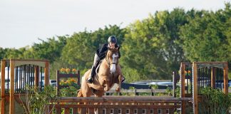 Julia Gildea and Tristram 7 Secure the Win in the Ariat National Adult Medal