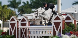 Perfection Personified: Watch the Rounds That Scored 100!