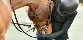 WORLD EQUESTRIAN CENTER — OCALA WINTER SPECTACULAR #1 HIGHLIGHTS