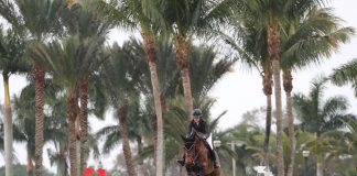 Karen Polle and Jet Run Fly High in the $50,000 Palm Beach Equine Clinic 1.45m Grand Prix CSI2*
