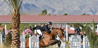 Jamie Sailor and Skyhawk Dominate $50,000 USHJA International Hunter Derby