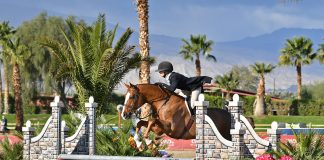 Q The Music and Alexis Taylor Dance to Victory in $2500 USHJA National Hunter Derby