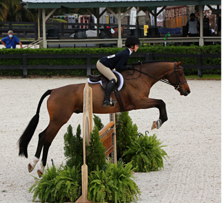 Julie Pickering Equestrian Off to Shining Start at 2021 Winter