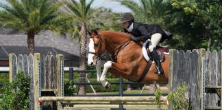 Kelsey Epperson and Augusta Iwasaki Earn Top Honors in the $10,000 USHJA National Hunter Derby